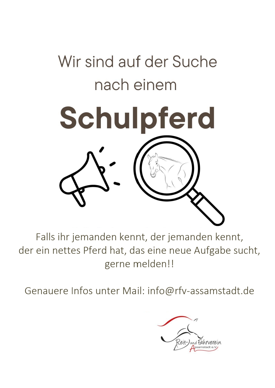 neues Schulpferd